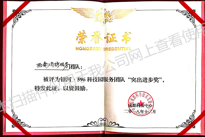 喜讯！我公司荣获成都科技中心消防维保服务“突出进步奖”
